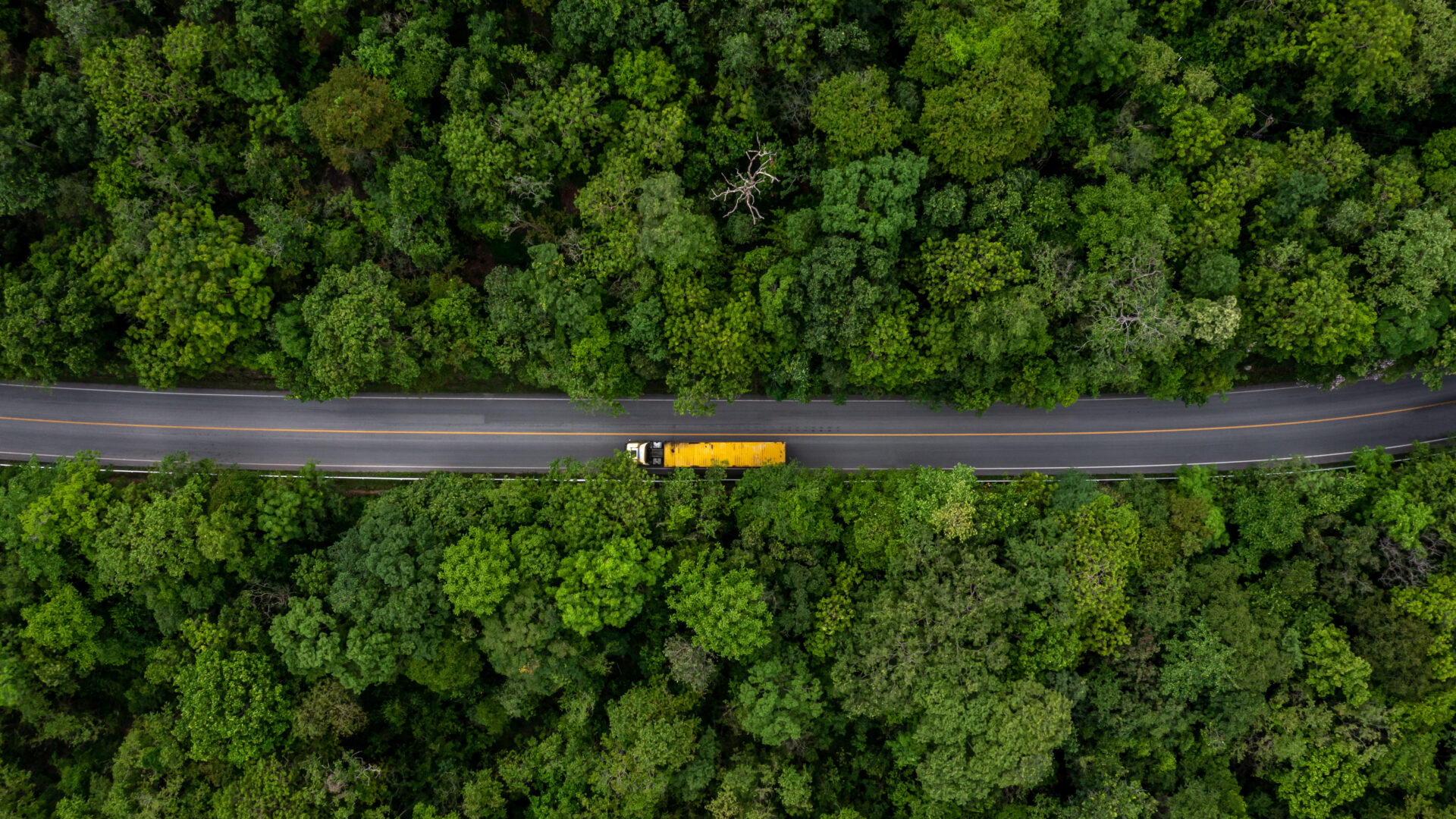 Holsteiner Transport und Logistik & LINQO: real-time fleet optimization